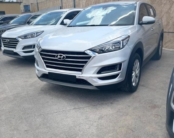 357808746_2395052980651756_2356704782571781041_n